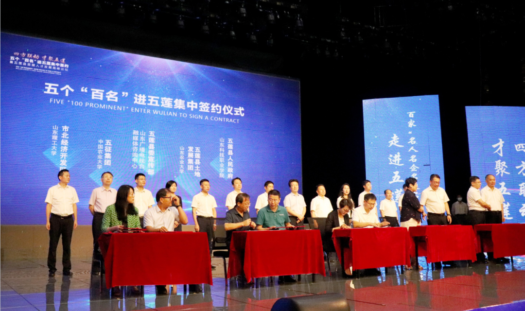 四方联动 才聚五莲！五个“百名”进五莲集中签约暨五莲县首届人才发展高峰论坛成功举办