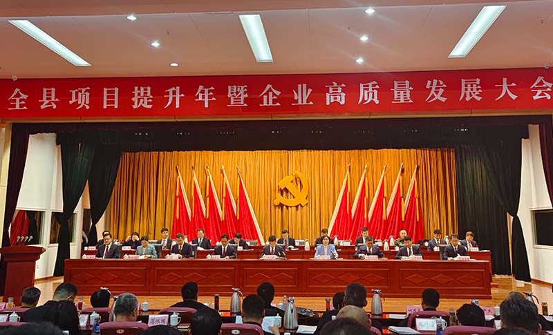 喜讯！全县项目提升年暨企业高质量发展大会上法桐小院再获2项荣誉！